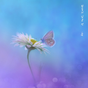 잠들기 십분 전