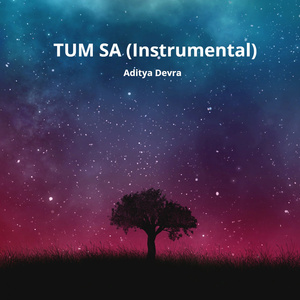 Tum Sa (Instrumental)