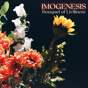 Bouquet Of Liviliness