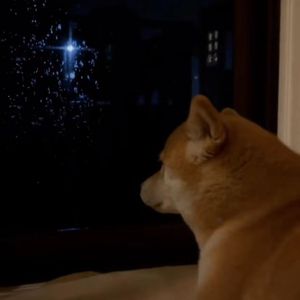 deserve you.（hidden in wind）