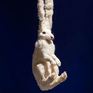 [Trap]BOBBYNOPEACE X SASIOVERLXRD Type beat - 我的包