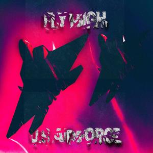 Undetected (F22 Raptor)