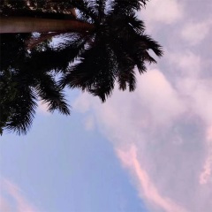 你知不知道什么是当当当 (DJ版)