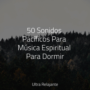Sueños Pacíficos