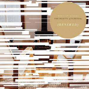 The Beauty of Survival (Continuous Mix)