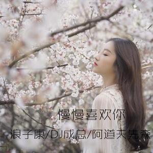 百听不厌 (DJ版)