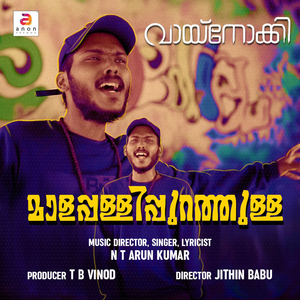 Vaayinokki