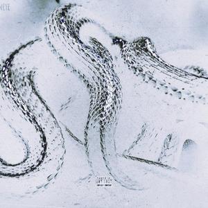 钻石雨夜.pt2 [Prod.SHOBEATZ]