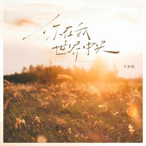 你在我的世界中央