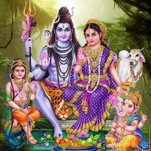 Bojanam Seiya Varungal