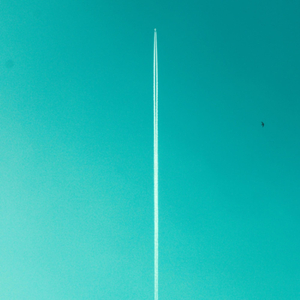 Fluke