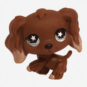 《人类啊，好奇怪》