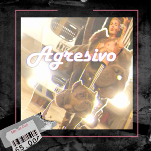 Agresivo