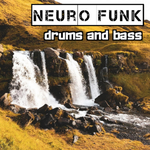 Neuro Funk