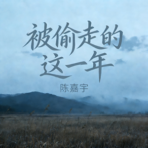 被偷走的这一年