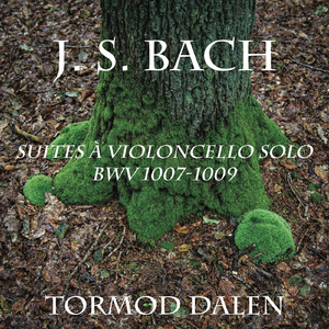 Cello Suite No. 2 in D Minor, BWV 1008: VI. Gigue
