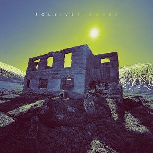 Flowers at Your Feet