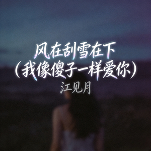 风在刮雪在下 (我像傻子一样爱你)