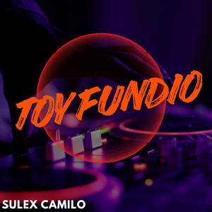 Toy fundio