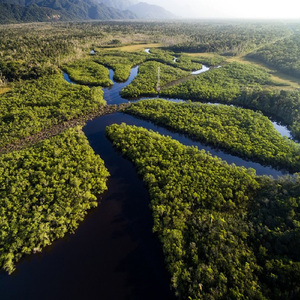 Lendária Amazônia