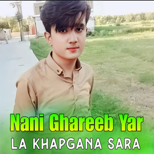 Bor Stargi Na Wakai Roghbar