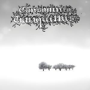 Coldwave (feat. Areknuteknyterne)