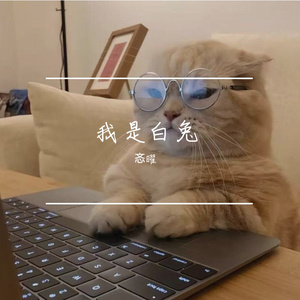 我是白兔-整曲