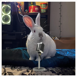 Grand Plan (Sped Up)