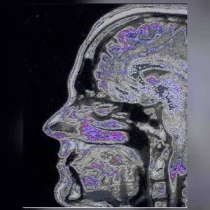 摇滚夜（ROCK NIGHT)