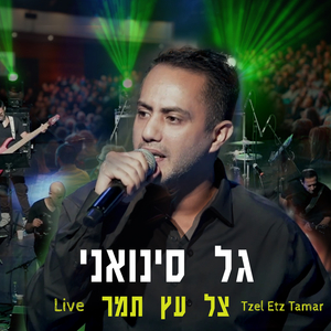 צל עץ תמר לייב