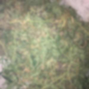 Hėlly Hānsen brëak (feat. Sayago, Matte? & Shory)