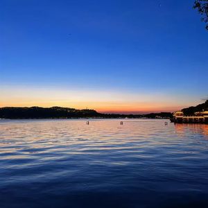 青丝 DJ版（新君不见）