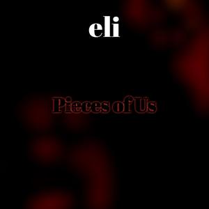 Pieces of Us