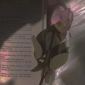 【FREE】"mon amour"