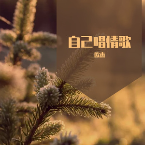 自己唱情歌