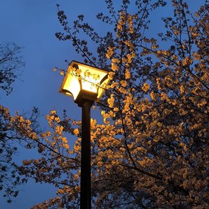 路灯（beat by Xiangyue）