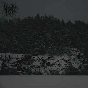 Темні силуети