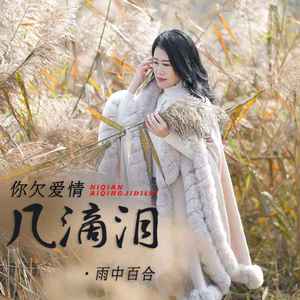 你欠爱情几滴泪 (DJ默涵版)