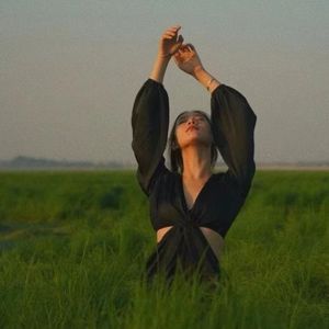 蒲公英的翅膀信