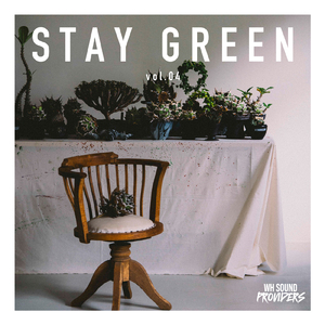 陽の当たる場所