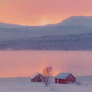 日系丨像阳光照在身上的午后