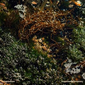 Suspiciously Temporary