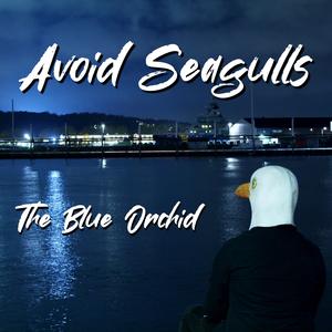 The Blue Orchid