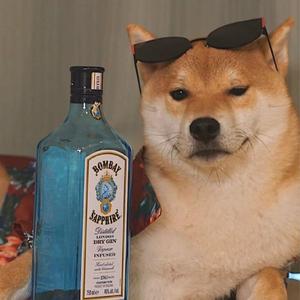 平凡的一天