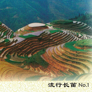 绝口不提我爱你