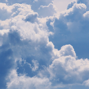 Amazement