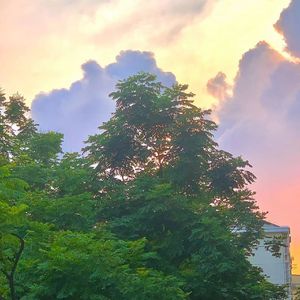 风吹过，又一个夏天