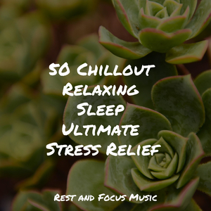 Leaves Fluttering Down