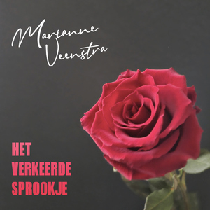 Het Verkeerde Sprookje