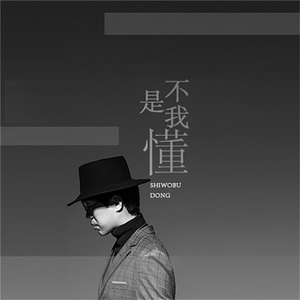 是我不懂 (伴奏)